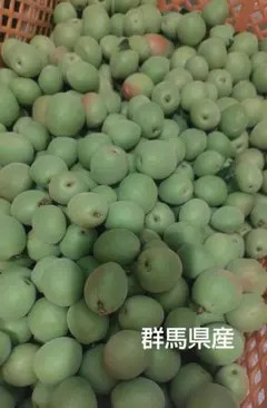 新鮮な青梅 収穫したて 梅酒・梅シロップ用のサムネイル
