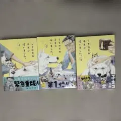うちの犬が子ネコ拾いました。