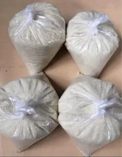 Item thumbnail for item d517b165-b37d-40aa-9358-74b7e775d53f