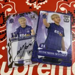 2026年最新】サンフレッチェ広島サイン入りグッズの人気アイテム