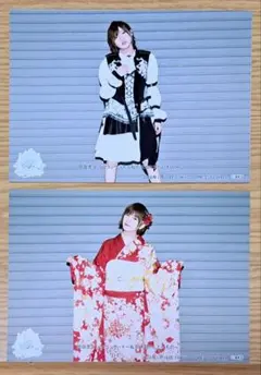 AKB48 岡田奈々ソロコンサート 撮って出し生写真 着物 ドレス Lサイズ2