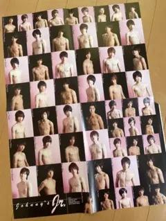 ピンナップ　切り抜き　1枚