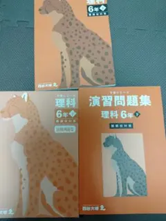 最新版　四谷大塚 予習シリーズ 理科 6年下 難関校対策　早稲田アカデミー　美品