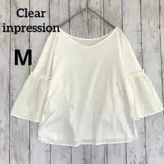 Item thumbnail for item 558566c3-3a8d-4e54-a64a-2baa1db8786e