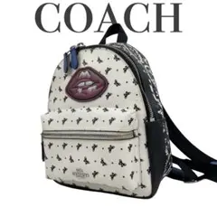 ✨極美品 COACH コーチ リュック ミニバタフライ バックパック 59330のサムネイル