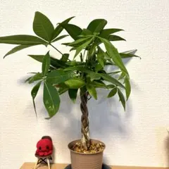 おひさま様 リクエスト 2点 まとめ商品