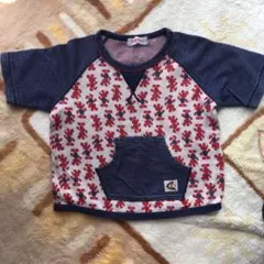 Item thumbnail for item 080acdd2-7666-40af-9437-aae0f4b10486