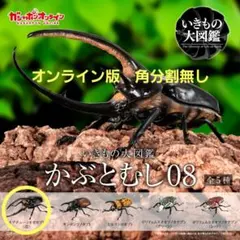 ネプチューンオオカブト　いきもの大図鑑かぶとむし08　オンライン版　新品未開封