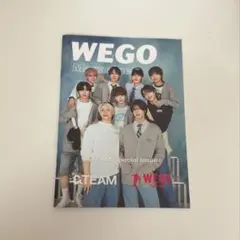 &TEAM Kグッズまとめ売り /ペンラ、スローガン、WEGOコラボ商品など多数 2025年最新】エンチーム wegoの人気アイテム - メルカリ