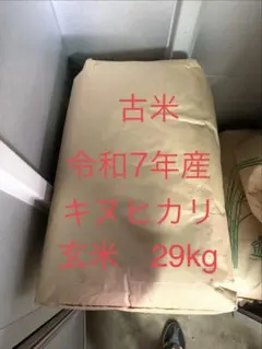 玄米30kg】【新米】令和8年産滋賀県産キヌヒカリ - メルカリ