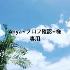 Anya✴︎プロフ確認✴︎様専用