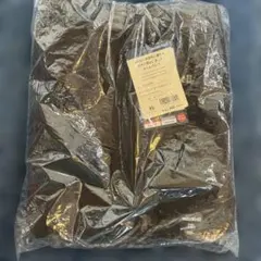 Item thumbnail for item 9883fc92-5dfe-45cc-9f1a-47ea1352ba71