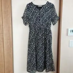 Item thumbnail for item def46dd9-ee86-4520-b088-052fb8c04683