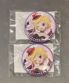 プリティーリズムオーロラドリーム 高峰みおん 缶バッジ - メルカリ