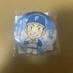 松本剛 缶バッジ ファイターズガチャ