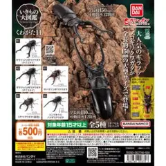 希少 新品 いきもの大図鑑 かに 01 第1弾 全4種フルコンプ - メルカリ