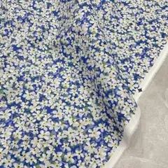 Item thumbnail for item 6de9c2dc-8b40-4018-af89-08a4f7943d86