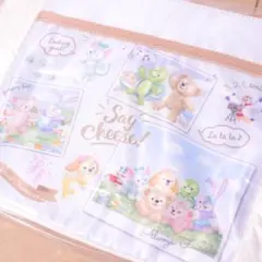 ディズニーシー限定 ランチバッグ スーベニア ランチケース Say cheese