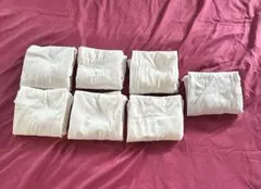 Item thumbnail for item dd630579-1092-49c8-92b4-20ee62aaef71