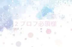 2 プロフ必須様 リクエスト 2点 まとめ商品