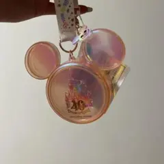 ディズニー　40周年　スーベニア　スナックケース