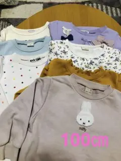 裏毛 トレーナー トップス