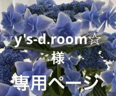 紫陽花苗　y's-d.room☆様　専用ページ