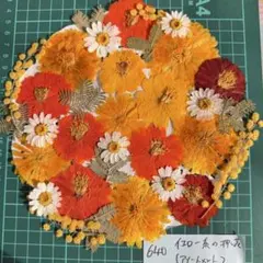 イエローオレンジ系押し花アソートメント