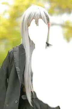 【にじさんじ】樋口楓 七次元生徒会 ウィッグ【コスプレ】