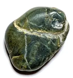 2025年最新】珪化木メノウ化の人気アイテム - メルカリ