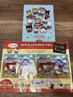 新品❣️大起水産　クリアファイル　チラシ