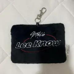 Stray kids Leeknow set