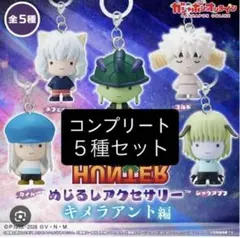 HUNTER×HUNTER めじるしアクセサリー コンプリート　セット
