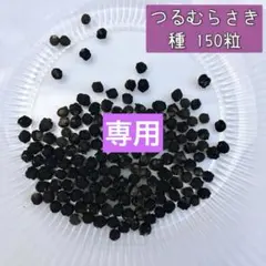 saya様専用