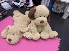 コストコ特大 犬 ぬいぐるみ 2体セット【引取限定】東京都八王子市のサムネイル