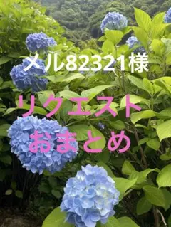 風鈴　メル82321様 リクエスト 4点 まとめ商品