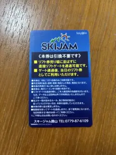スキージャム勝山 リフト券 大人1日券 引換不要 全日利用可