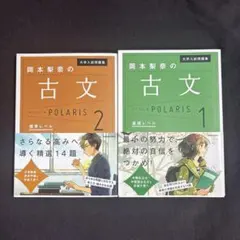 新品未使用 岡本梨奈の古文ポラリス 1 基礎レベル 2 標準レベル 2冊セット