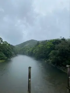 確認用