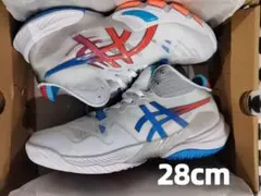 【あおむらたんさん専用】asics メタライズ 26.0 中古 美品 あおむらたんさん専用】asics メタライズ 26.0 中古 美品 2025年