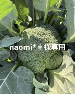 naomi*＊様専用