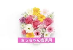 【さっちゃん様専用ページ】
