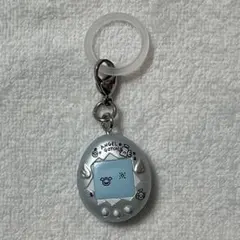 Item thumbnail for item 558fb166-4ca1-41b0-87dd-08b092e5cff9