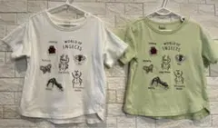 プティマイン 100cm Tシャツ　2枚セットのサムネイル