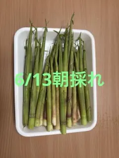北海道産 姫竹 たけのこ1kのサムネイル