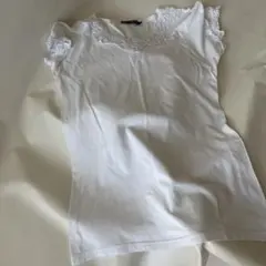 Dolce&Gabbana ✨レース Tシャツ 刻印ボタン ホログラムシール M