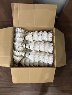 2025年最新】ノック用シャトルの人気アイテム - メルカリ