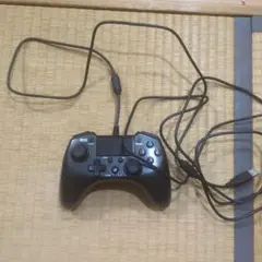 有線コントローラー 黒
