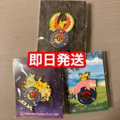 ポケモンセンターメガトウキョー限定ロゴピンズピカチュウメガリザードンY 30周年 ポケモンセンターメガトウキョー限定ロゴピンズピカチュウメガ