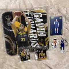 【バラ売り可】宇都宮ブレックス Hoops Peeps など ギャビンエドワーズ